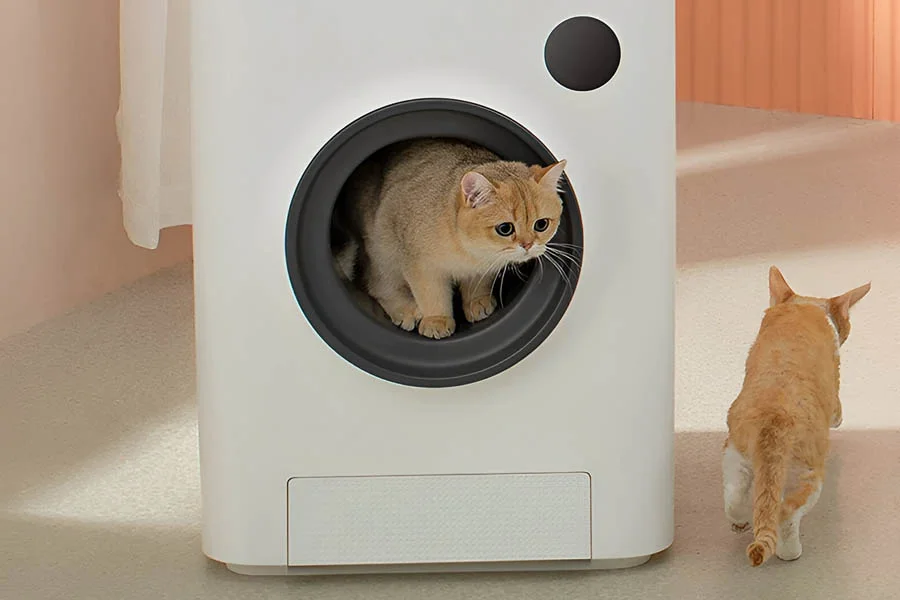 cleaning litter box