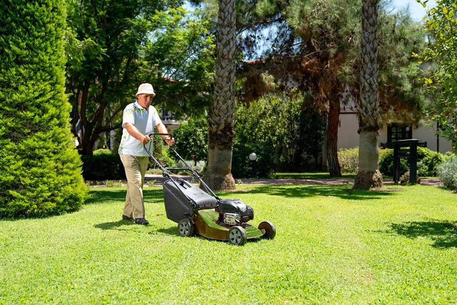 best rated electric mowers